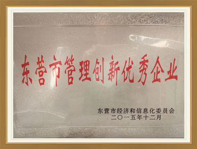 东营市管理创新实力企业